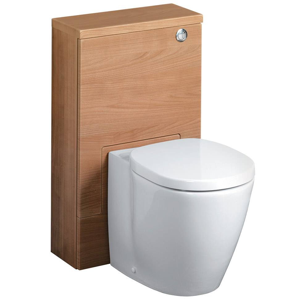 Ideal concept toilet